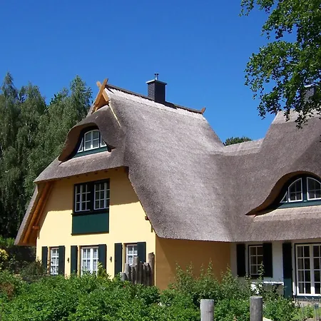 Kuestenwaldvilla In Dierhagen *