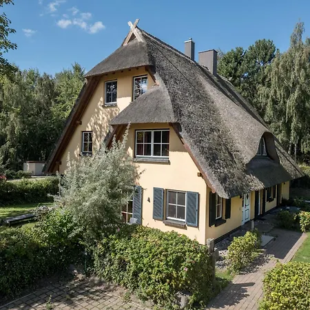 Kuestenwaldvilla In Dierhagen