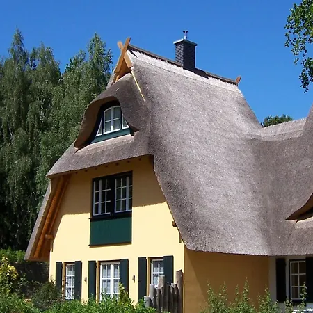 Kuestenwaldvilla In Dierhagen *